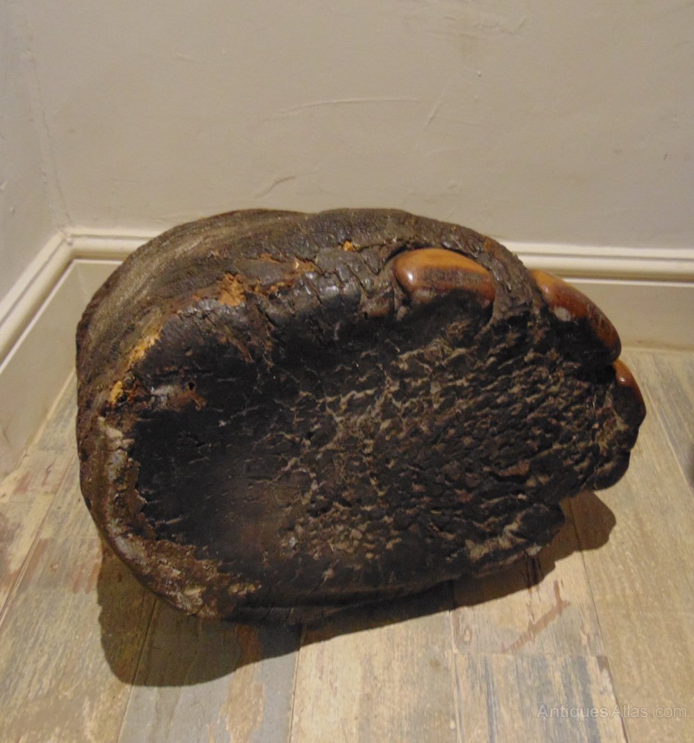 Victorian Elephant's Foot Footstool Antiques Atlas