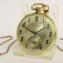1925 Illinois Autocrat pocket watch and chain