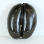 19th Century Carved Coco De Mer Basket