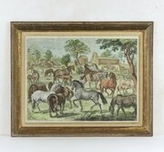 Large 17th Century Copper Engraving Of Horses