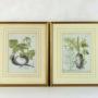 Pair Original Hand-Coloured Botanical Engravings