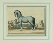 Pair Rare 18th Century Horse Prints By Picart #1