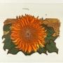 Robert Tavener Limited Ed Linocut Sunflower & Barn