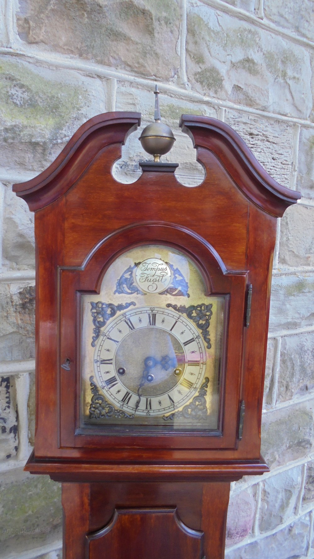 Antiques Atlas Antique Mahogany Granddaughter Clock