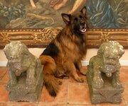 Temple Dogs Marble Height  2 Ft 6 1930,s