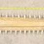 70 Tooth Large Sawfish Bill Rostrum 