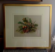 Pair of Edwardian Botannical Watercolours