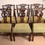 Set of six 19th century Chippendale style chairs