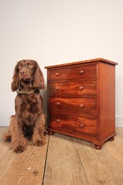Super Quality 19th C Mahogany Apprentice Chest