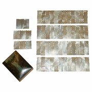 Chinese 1900 Mother Of Pearl Counters Mah Jong