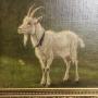 Danish Goat Oil Painting SOLD