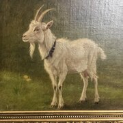 Danish Goat Oil Painting 