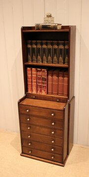 Unusual Oak Cabinet Bookcase