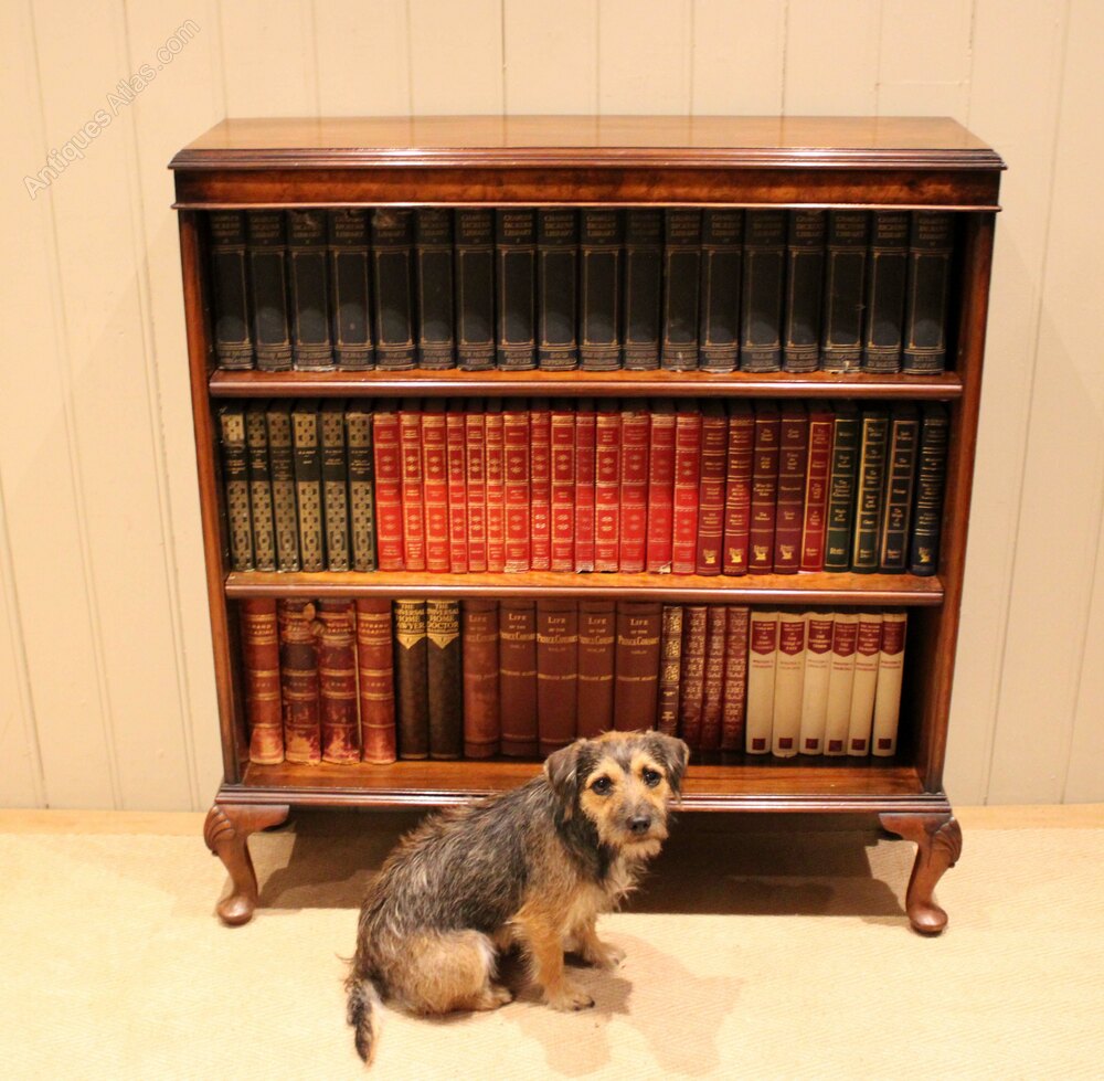 Walnut Open Bookcase With Adjustable Shelves as294a6801 - Antiques