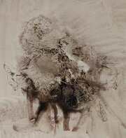 A 20th Century Anatomical Ink Drawing.